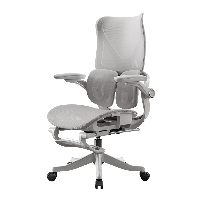 Esports Gaming Design - Multifunctional Computer Office Chair Lumbar Double